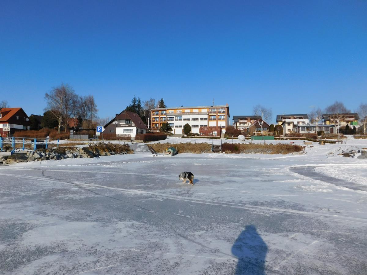 Pension Calla Dolní Vltavice Eksteriør billede